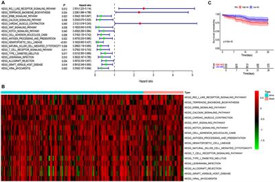 RIG012 assists in the treatment of pneumonia by inhibiting the RIG-I-like receptor signaling pathway